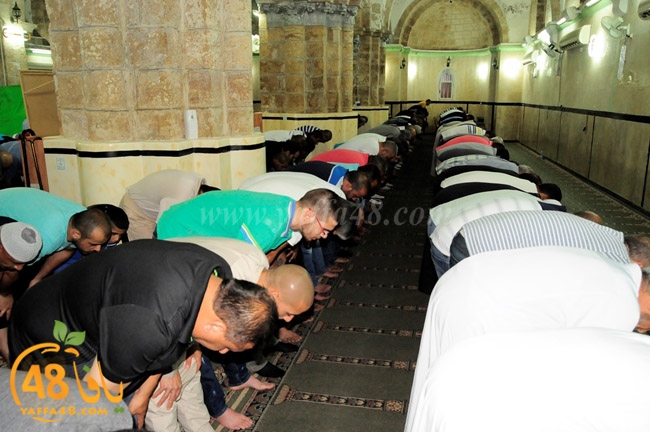 trawe7 ramla kaber (19).JPG